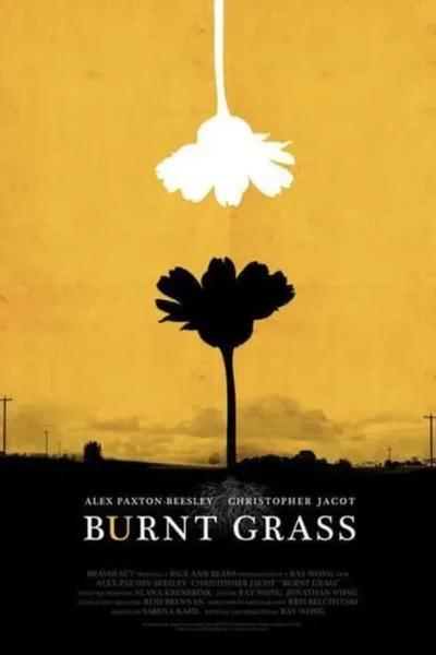 Burnt Grass