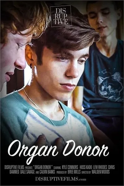 Organ Donors