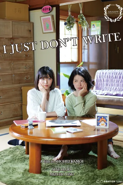 I JUST DON'T WRITE