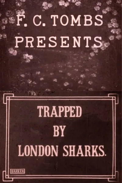 Trapped by London Sharks