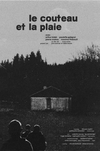 The Blade, The Wound
