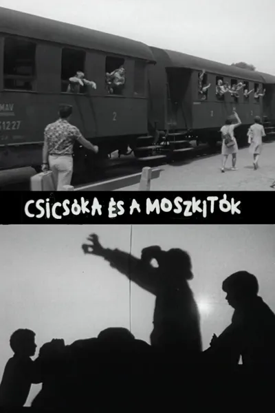 Csicsóka és a Moszkitók