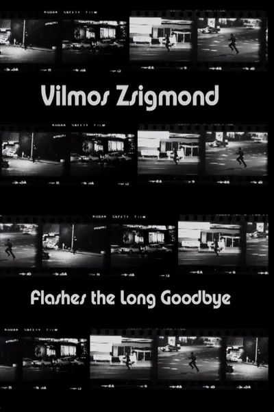 Vilmos Zsigmond Flashes 'The Long Goodbye'