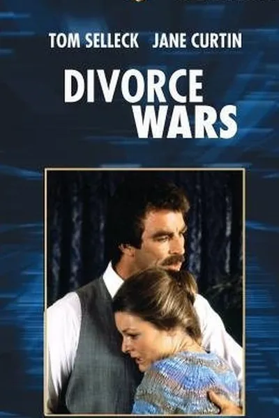 Divorce Wars: A Love Story