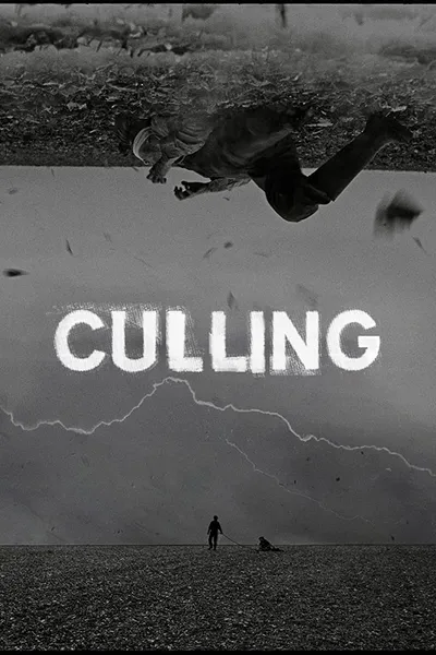 Culling