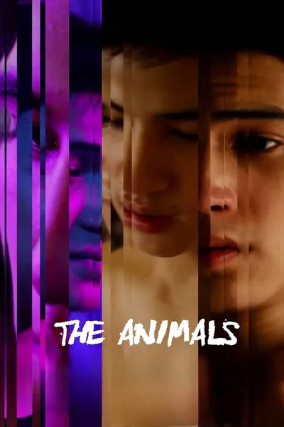 The Animals