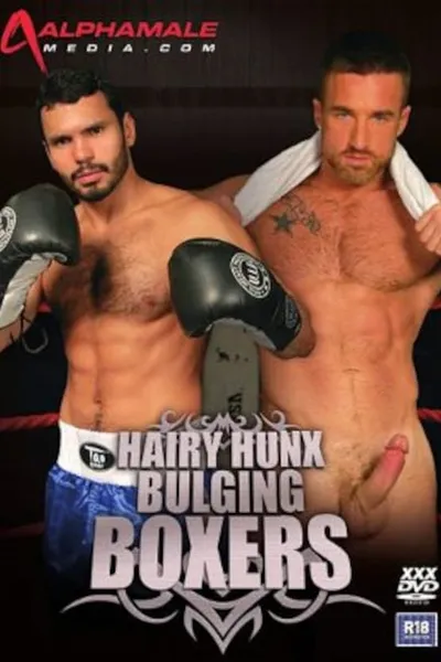 Hairy Hunx: Bulging Boxers