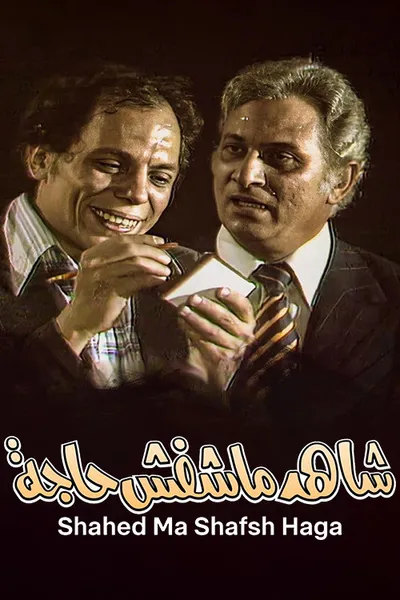 The Witness Who Didn't See Anything