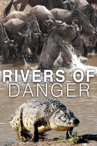 Rivers of Danger