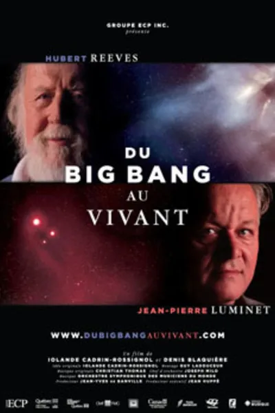 Du Big Bang au Vivant