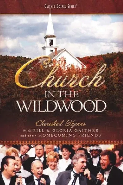 Church in the Wildwood