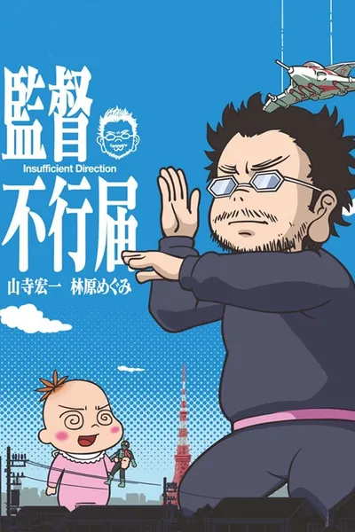 Insufficient Direction