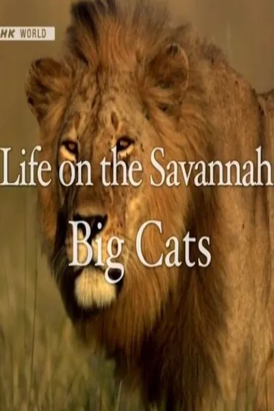 Life on the Savannah: Big Cats