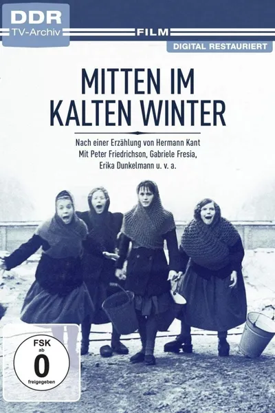 Mitten im kalten Winter