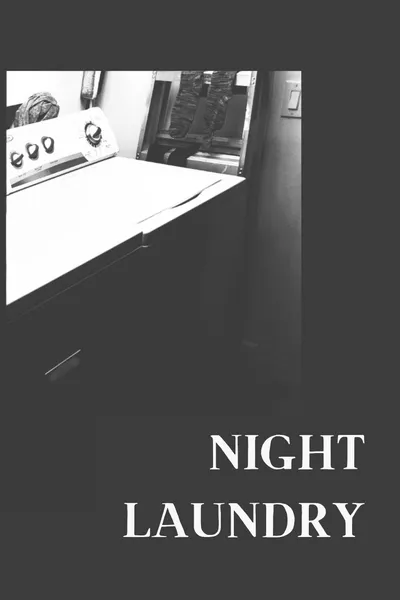 NIGHT LAUNDRY