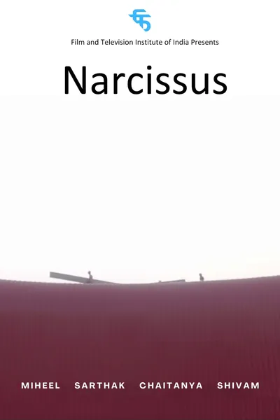 Narcissus