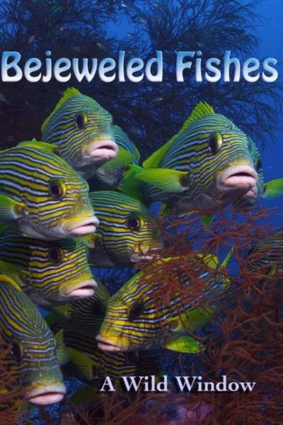 Wild Window: Bejeweled Fishes