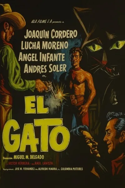 El gato