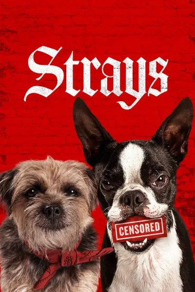 Strays