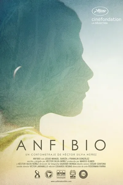 Anfibio