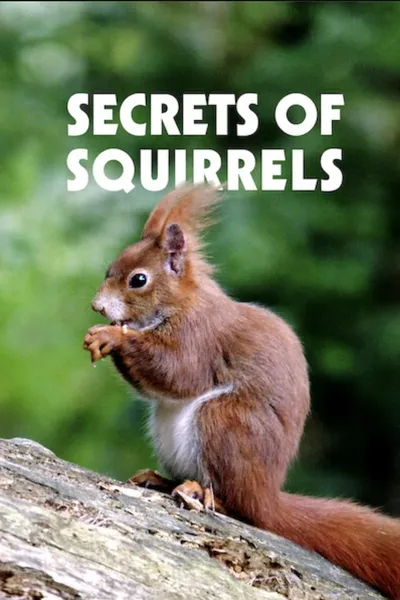 Secrets of Squirrels