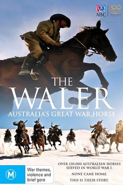 The Waler: Australia's Great War Horse