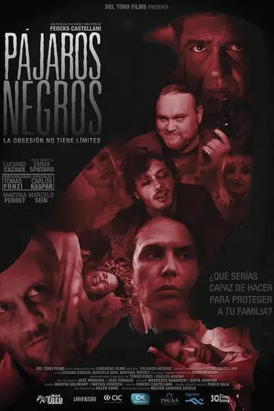 Pájaros negros