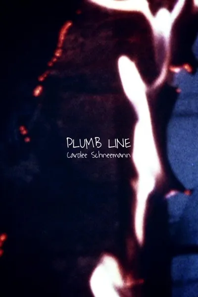 Plumb Line