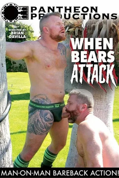 When Bears Attack