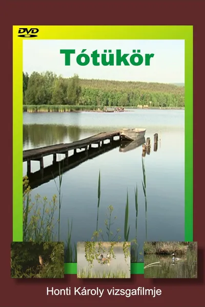 Tótükör