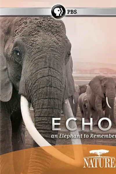 Echo: An Elephant to Remember