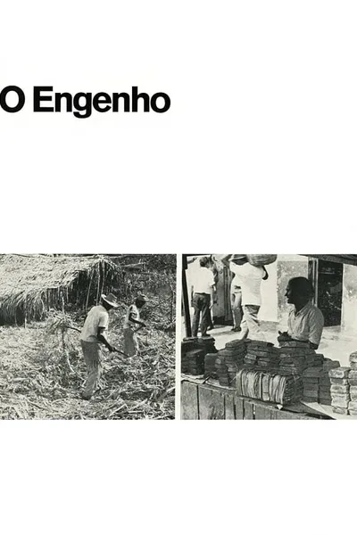 O Engenho