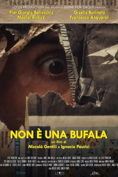 Non è una bufala