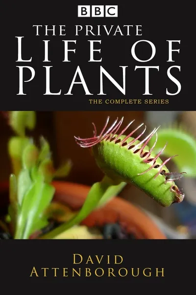 The Private Life of Plants