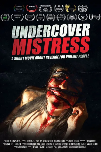 Undercover Mistress