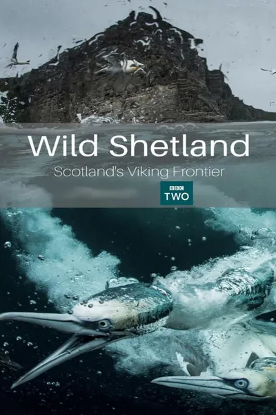 Wild Shetland: Scotland's Viking Frontier