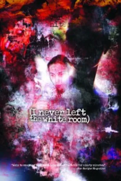 I Never Left the White Room