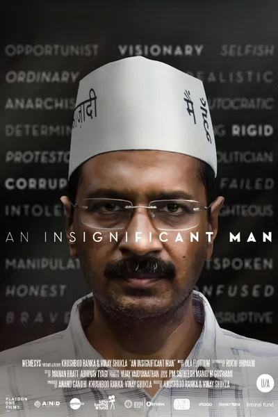 An Insignificant Man