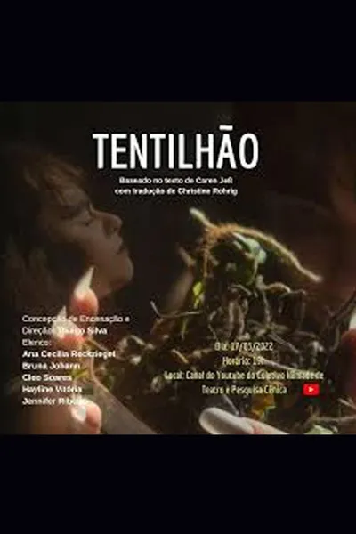 Tentilhão