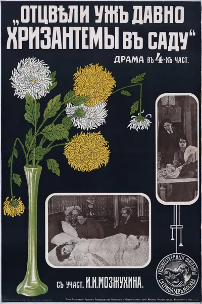 Long Gone are Chrysanthemums in a Garden