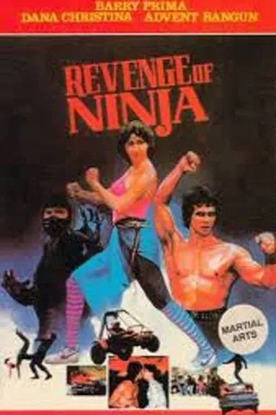 Revenge of the Ninja