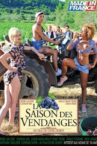 La Saison des Vendanges