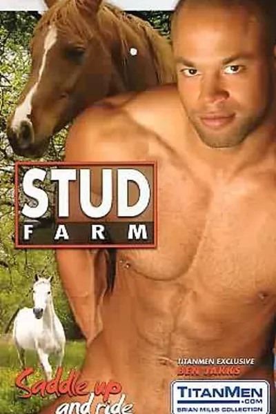 Stud Farm