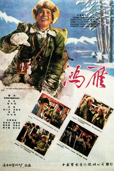 鸿雁