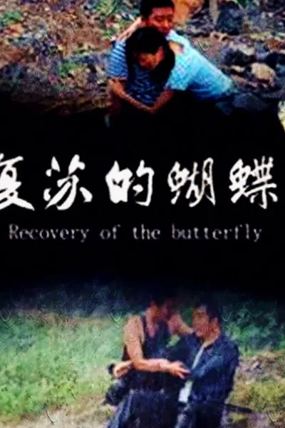 Recovery of the Butterfly