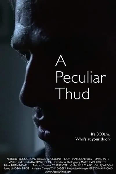 A Peculiar Thud