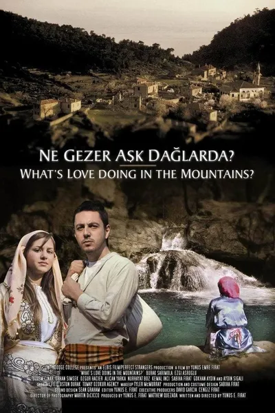 Ne Gezer Aşk Dağlarda?