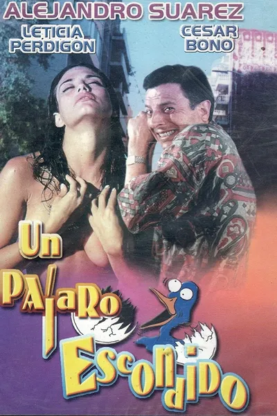 Un pájaro escondido