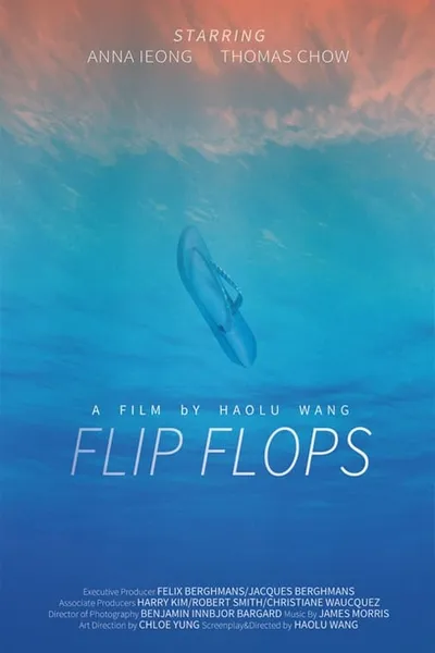 Flip Flops