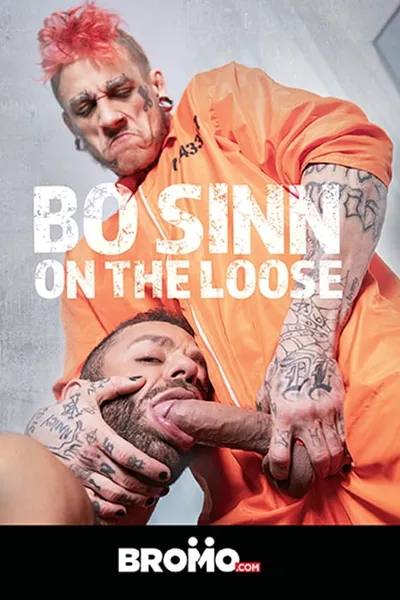 Bo Sinn: On the Loose